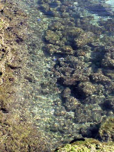c0139375_1858730.jpg
