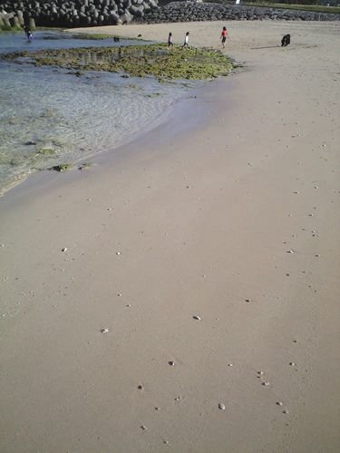 c0139375_18595678.jpg