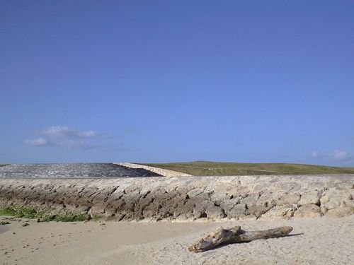 c0139375_1905060.jpg