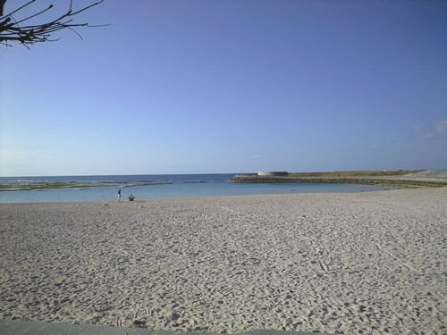 c0139375_1911672.jpg