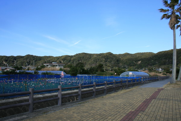 e0114977_12102074.jpg