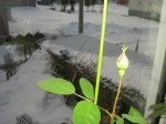 c0078586_20333047.jpg