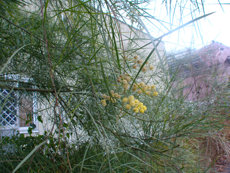 e0008586_22412660.jpg