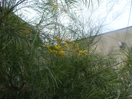 e0008586_22414788.jpg