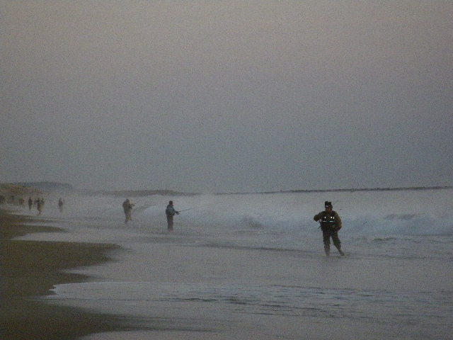 e0052088_17231451.jpg