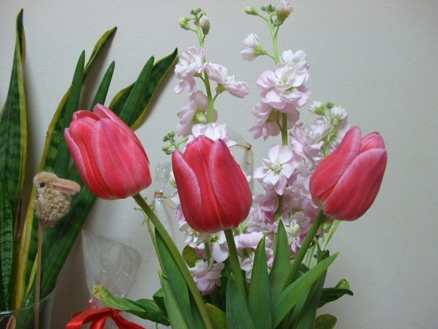 f0189791_23521275.jpg
