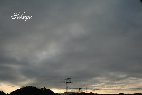 e0122194_20164317.jpg