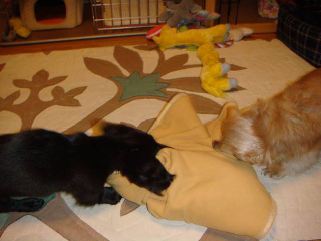 d0098295_075563.jpg