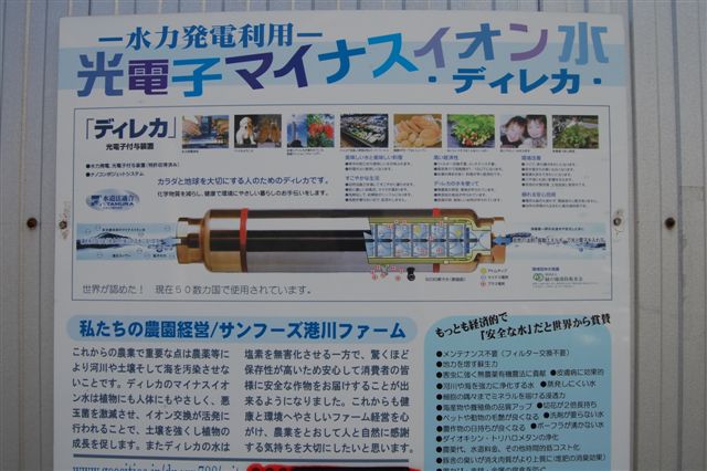 f0144400_1351580.jpg