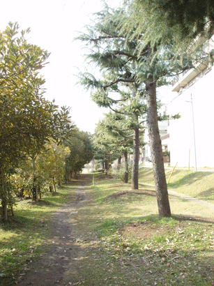 c0129702_23401841.gif