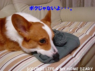 c0153410_1143287.jpg