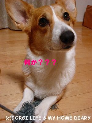 c0153410_11434577.jpg
