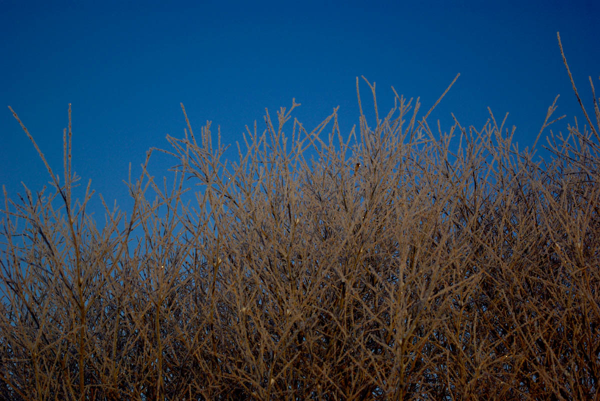 e0142611_11541941.jpg