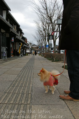 b0075318_11215745.jpg