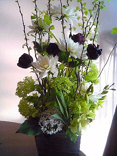 a0052621_19161079.jpg