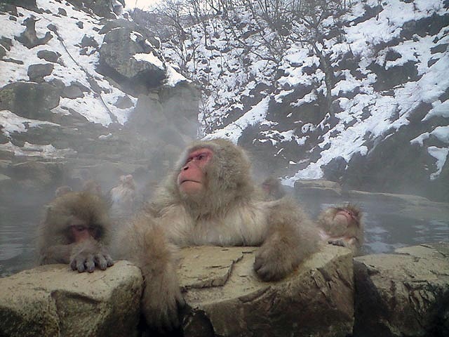 c0128722_13155194.jpg