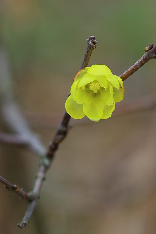 f0031423_222041100.jpg