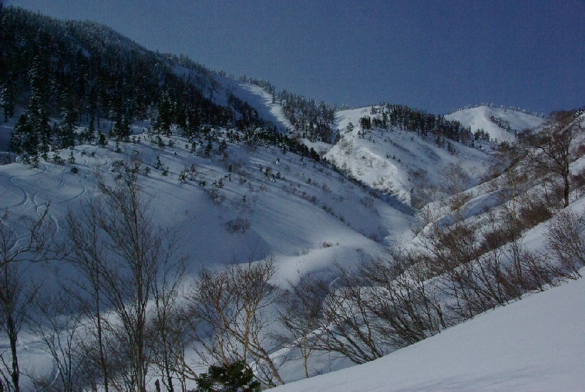 b0062024_20225137.jpg
