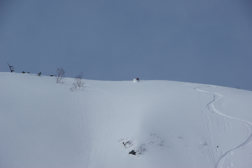 b0062024_20334386.jpg
