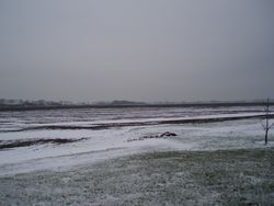 e0153227_8245571.jpg