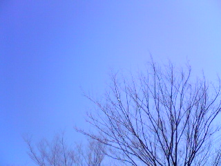 a0099129_19311898.jpg