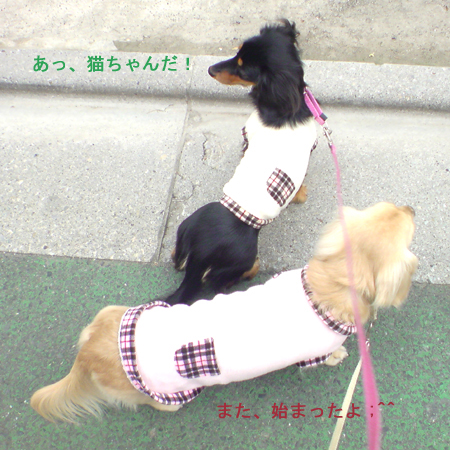 c0117831_22305319.jpg