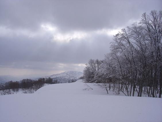 f0118332_22394522.jpg