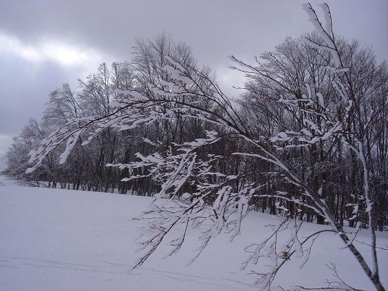 f0118332_22405450.jpg
