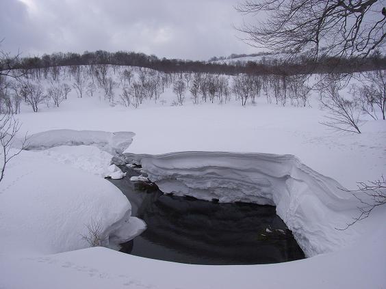 f0118332_22461369.jpg
