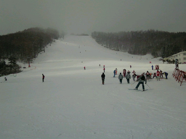 e0064133_004498.jpg