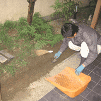 d0033734_11204680.gif