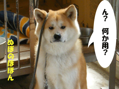 f0008935_9365750.gif