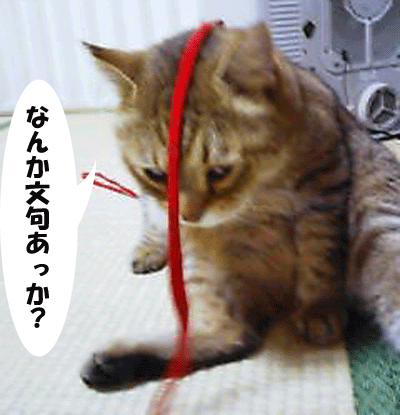 f0008935_9371672.gif