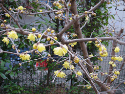 c0136736_20255273.gif