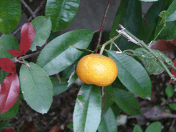 c0136736_20272241.gif