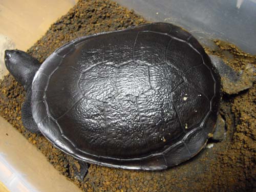 e0119439_2349925.jpg