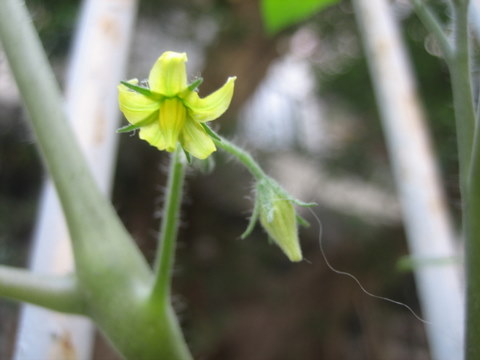e0018143_401379.jpg