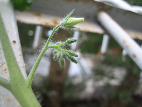 e0018143_44344.jpg