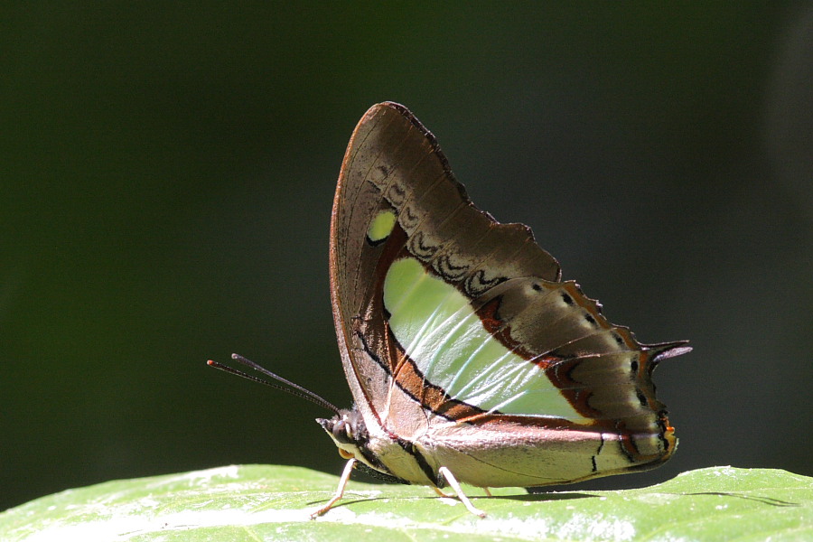a0094850_20113420.jpg