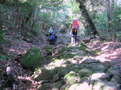 c0179351_22341542.jpg