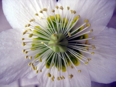 c0147952_2311261.jpg