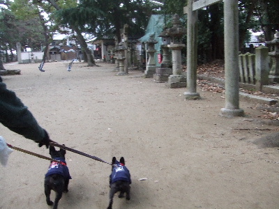 e0126054_9345099.jpg