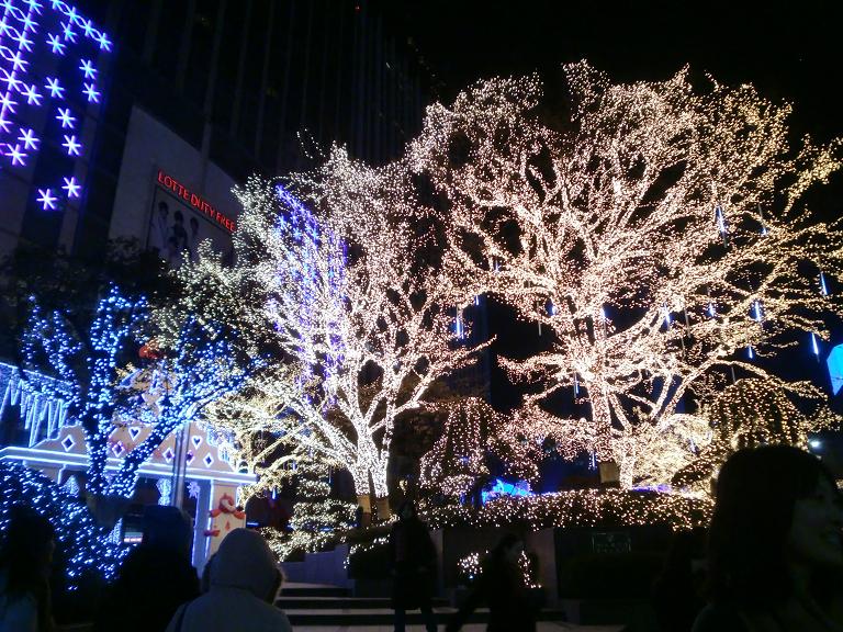 a0075455_9195729.jpg