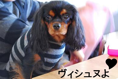 a0101958_17554780.jpg
