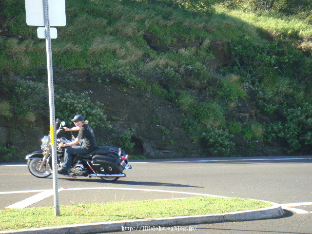 a0067962_4574439.jpg