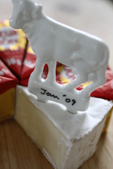 f0107364_16422241.gif