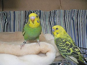 f0196665_0203681.jpg