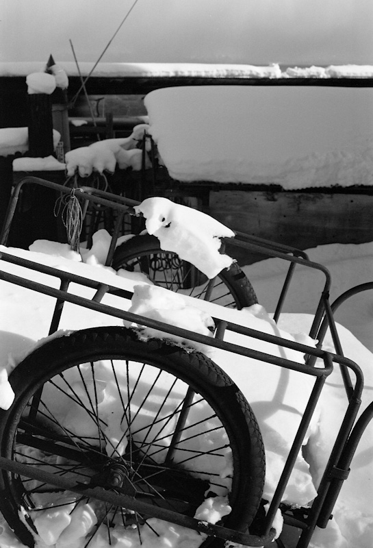 c0084666_191568.jpg