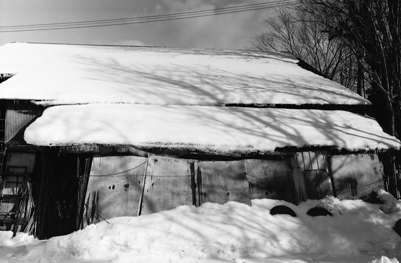 c0084666_194671.jpg