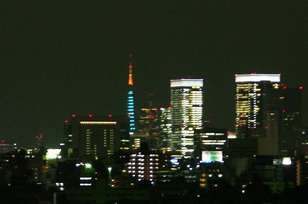 e0164571_1265363.jpg